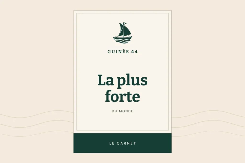 Illustration du guide Guinée 44 : la bière la plus forte du monde